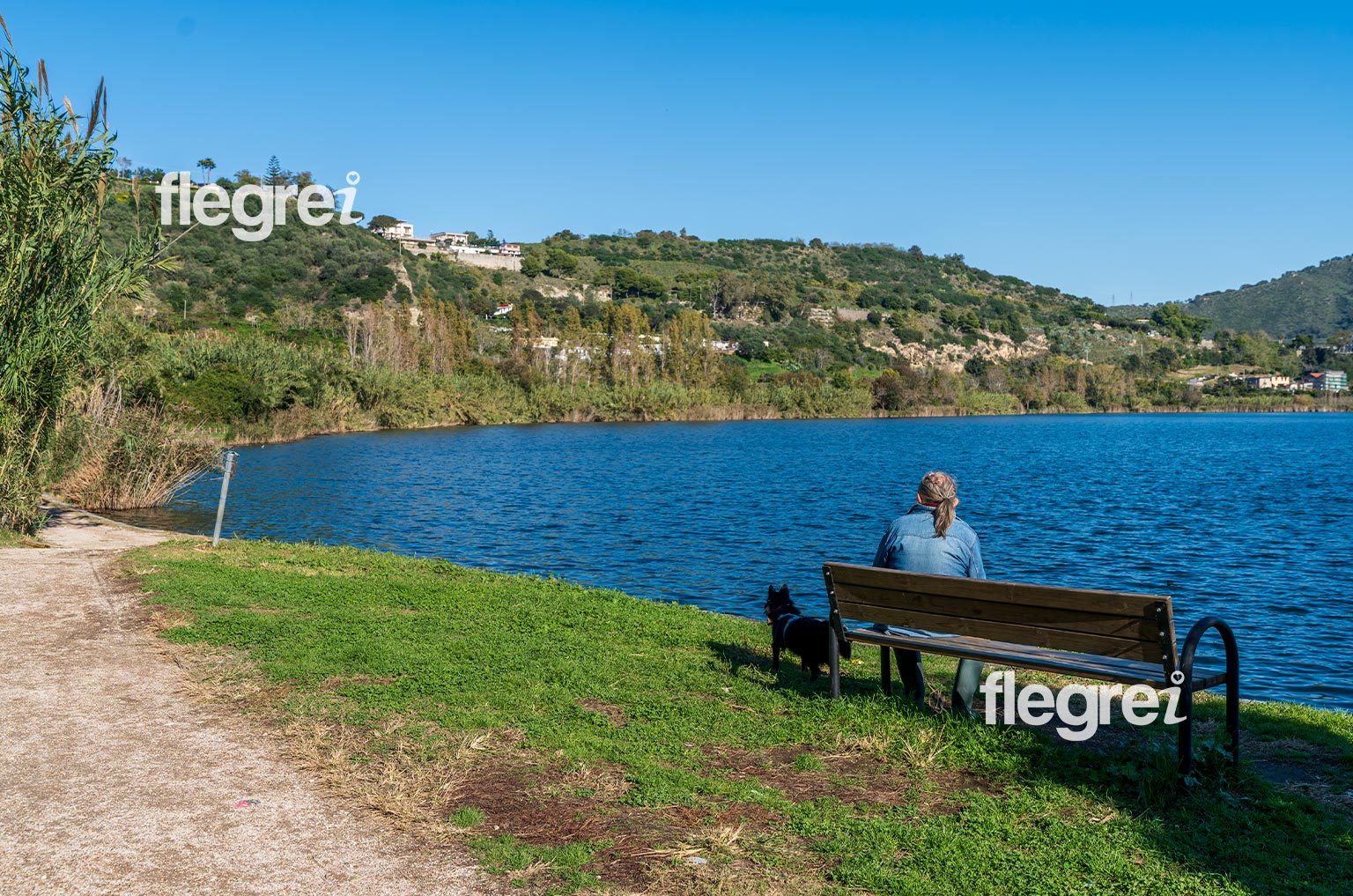 sponde-del-lago-averno-pozzuoli-campi-flegrei