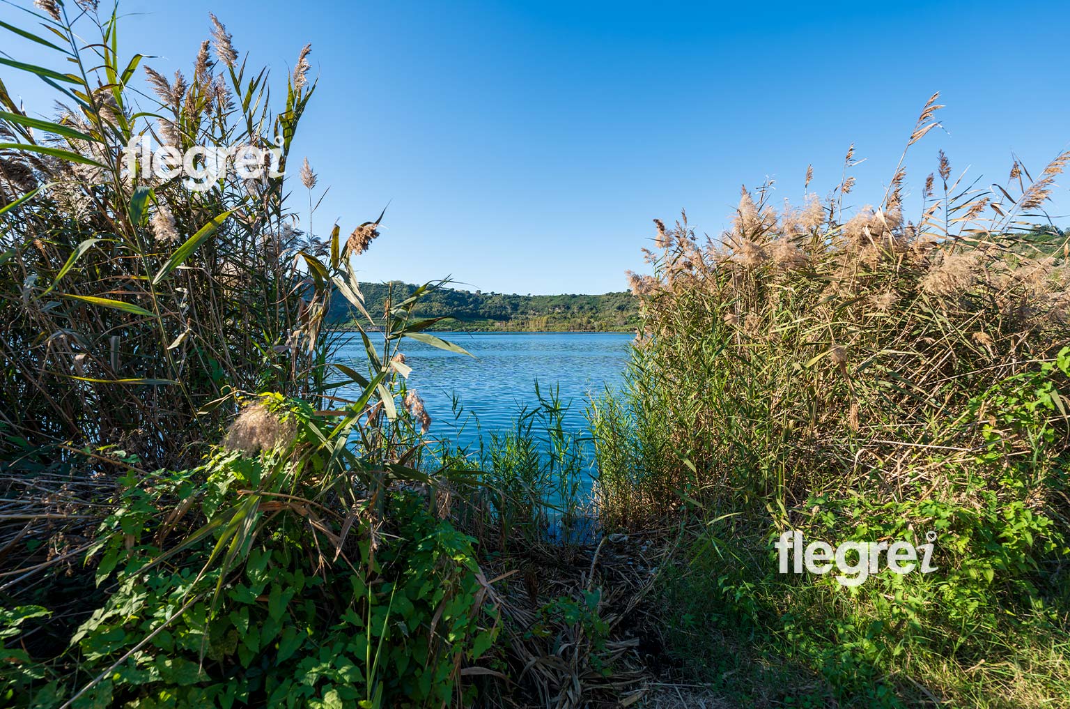 lago-averno-pozzuoli-campi-flegrei