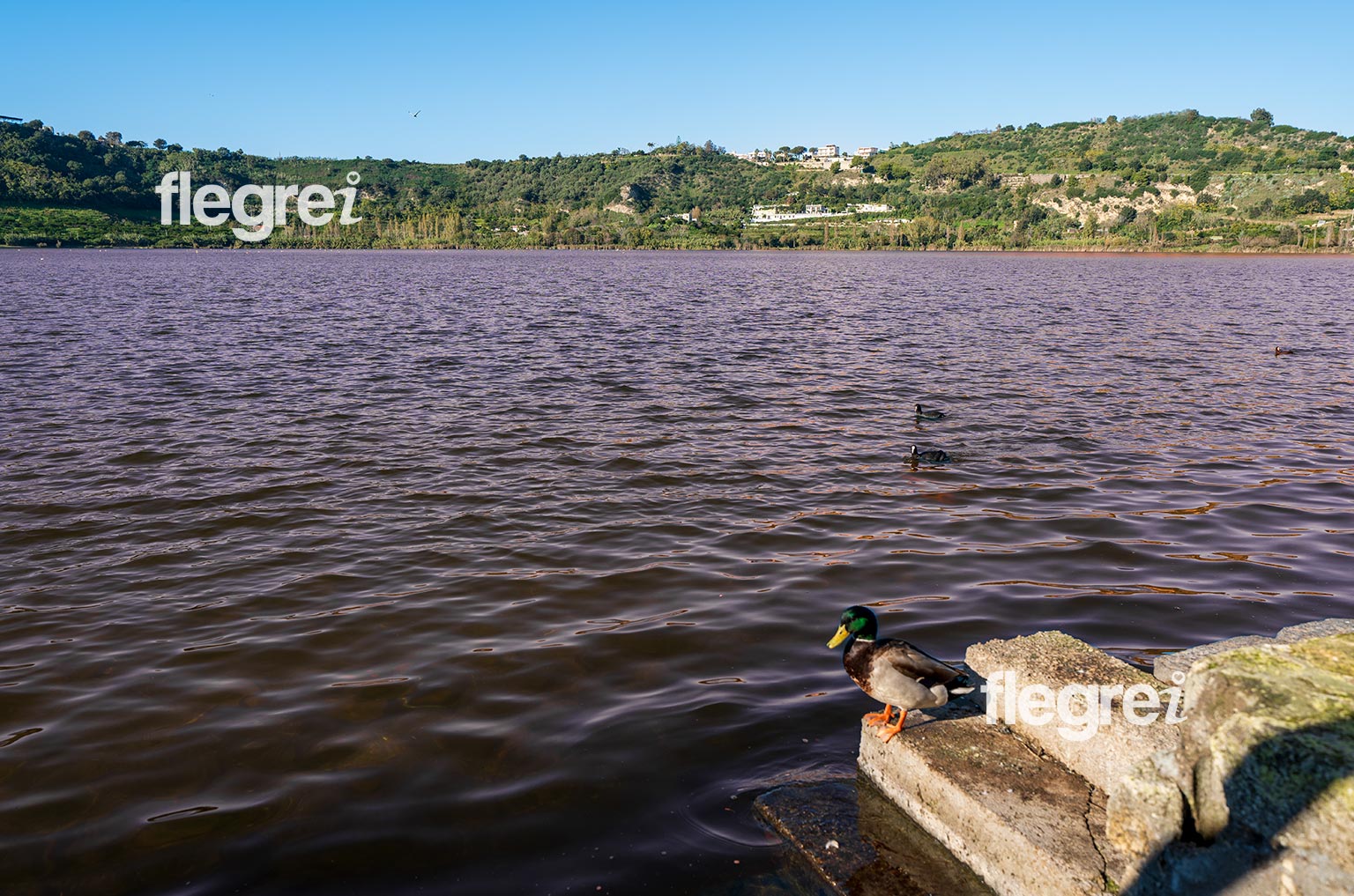 lago-averno-tinto-rosso-pozzuoli-campi-flegrei